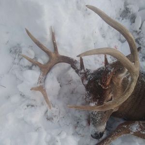 Meet your Posher, Marcus